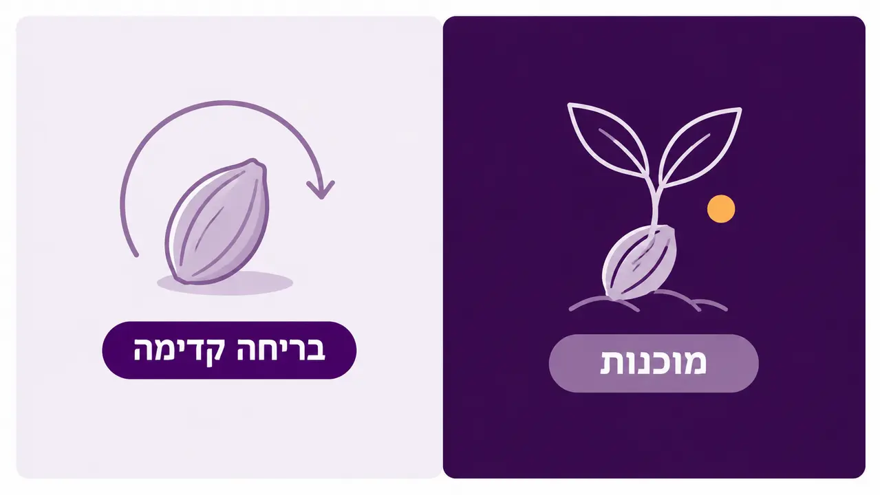 מתי נכון לפגוש מישהו חדש